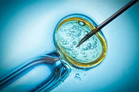 http://shijiazhuang.qqkaixin.com/post/199.html|石家庄供卵助孕