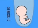 石家庄代怀孕初期孕酮值为13ngml，医生说偏低，那正常值是多